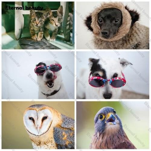 Eagle 5D Diy Diamond Painting Kit Full Round/Square Drill Animals Diamond Embroidery Mosaic Cross Stitch Kits Home Decoration