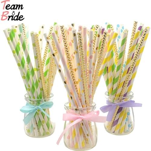 TEAM BRIDE Wedding Disposable Tableware