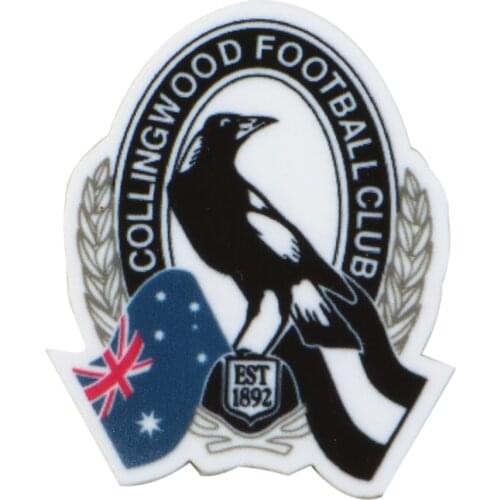 Cartoon Koala and Flag Acrylic Flatback Planar Resins Sew Bows Gift Phone Case Decoration Crafts Homework Accessories ,5Yc18263