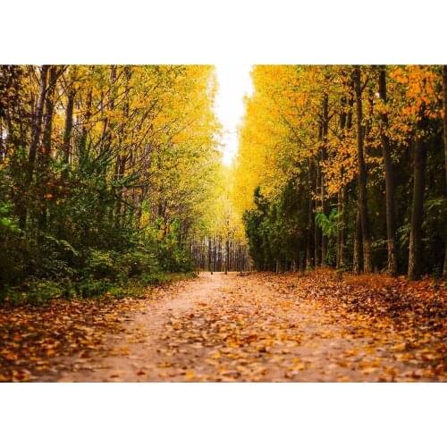 Forest Pathlet Vinyl Portrait Photography Backgrounds for Wedding Lover Baby Children Photo Studio Photobooth Photo Shooting