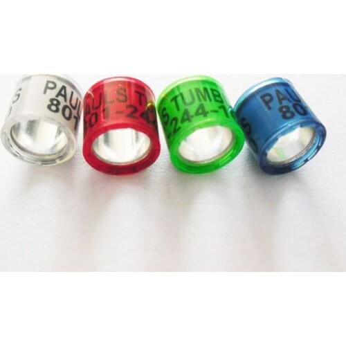 2020 2021 2022 free colors 8mm 3000pc free shipping all countries pigeon ring supplier product accessories