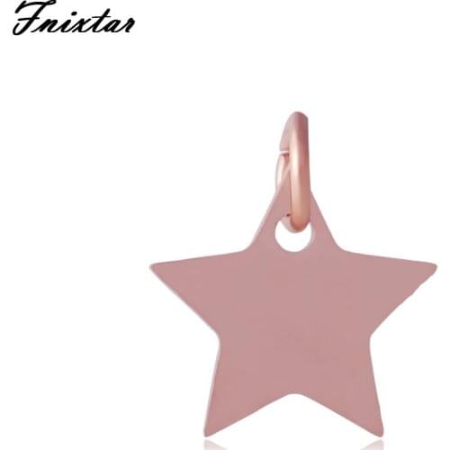 Fnixtar Mini Charm Stainless Steel Rose Gold Color Star Metal Charm For Women Jewelry Making Christmas Day Wholesale 10pcs/lot