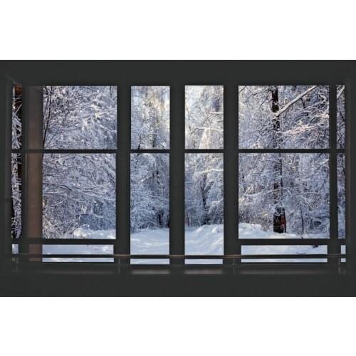 Winter Windows Scenery Backdrop Photography Background Photo Booth Studio Decor