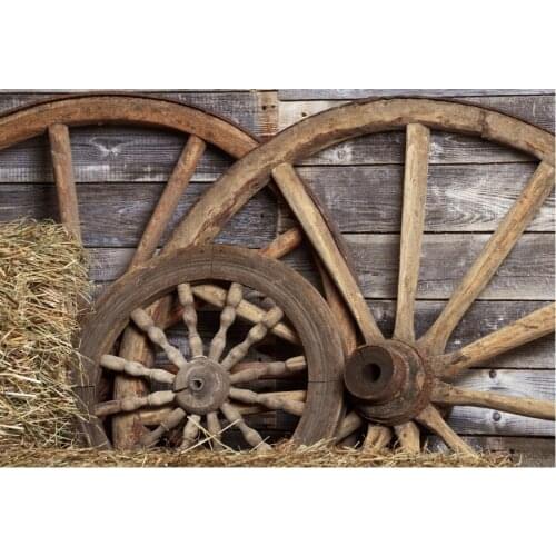 Beach Party Decor Backdrop Vintage Plank Rudder Photography Background Newborn Baby Shower Birthday Wedding Photo Shooting Props