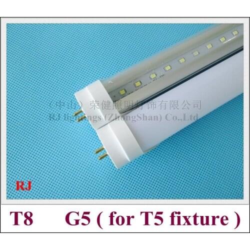 Zhaomin LED Bulbs G5