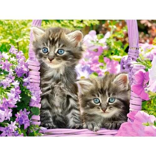 2020 New Flower 5D DIY Diamond Painting Cat 100% Full Square Diamond Embroidery Animals Pictures Of Rhinestones Home Decor Gifts