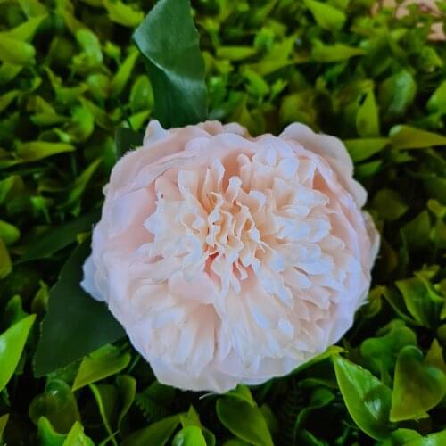 ProvansBuket Artificial Flowers For Decoration