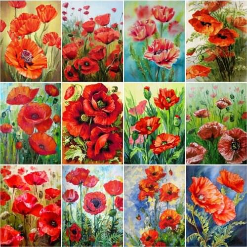 HUACAN Oil Painting By Number Poppy Flower Kits Handpainted DIY Picture By Number Drawing On Canvas Home Decoration