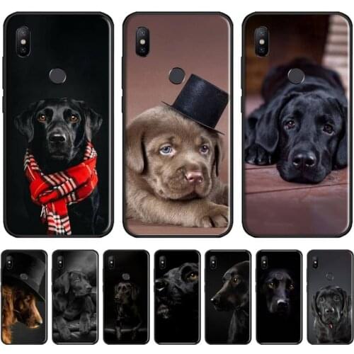 Sad Labrador Dog Phone Case For Xiaomi Redmi 7 9t 9se k20 mi8 max3 lite 9 note 8 9s 10 pro Soft Silicone Shell Cover Funda