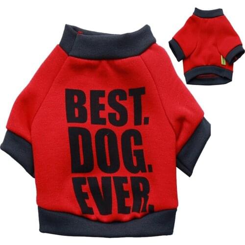 Pet Supplies Spring New Trend Printing Letters Color Matching Soft Cute Sweater Shirt Long-sleeved T-shirt Puppy Dog Clothes