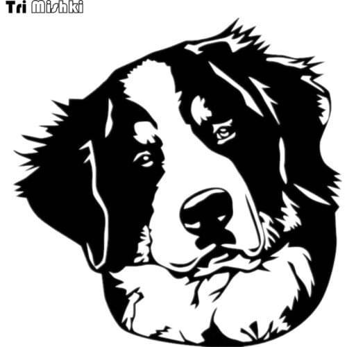 Tri Mishki HZX432 15*15cm bernese mountain dog car sticker funny auto car stickers