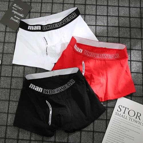 Boxer Mens Underwear Men Cotton Underpants Male Comfortable Shorts New Gentleman Solid Fashion Letters Breathable Boxers L-3XL