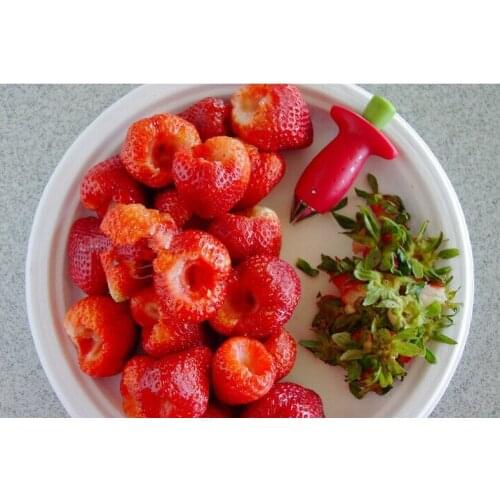 1PC Strawberry Hullers Metal +Plastic Fruit Remove Stalks Device Tomato Stalks Strawberry Knife Stem Remover OK 0253