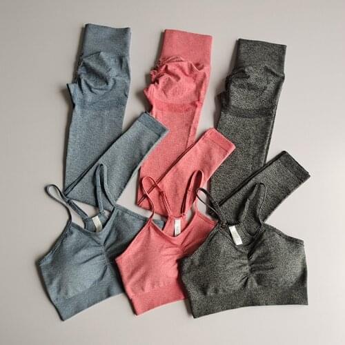 Fashion Sports Suit Womens Tracksuit Quick Drying Fitness Outdoor Leggings Shockproof Running Gathered Anti Sagging Bra Yoga Se