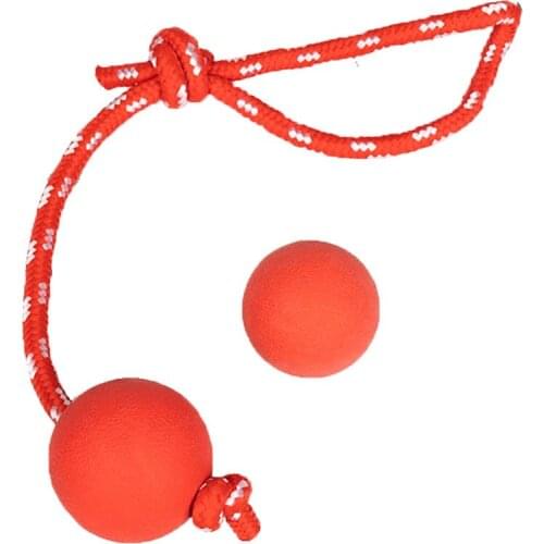 OLN Dog Toys