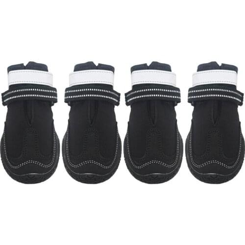Mrs win Shoes For Dogs