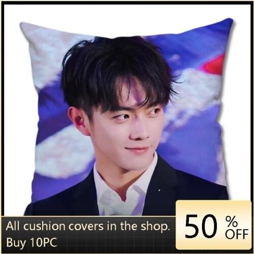 TV Series You Are Beautiful When You Smile Xu Kai Cheng Xiao Zhai Xiaowen Same Style Pillowcase Star Cushion Cover Idol Souvenir