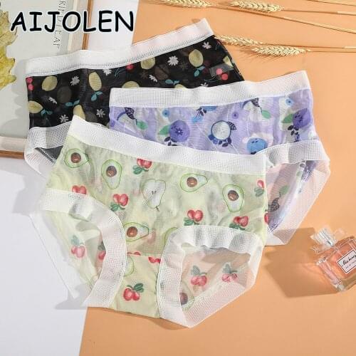 AIJOLEN Fruit Print Panties Mesh See-through Sexy Underwear Blueberry Lemon Strawberry Underpants Ladies Cute Lace Briefs