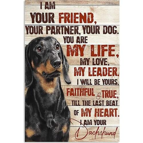 Dachshund Retro Vintage Tin Sign Bar Cafe Art Bar Decoration Living Room Bedroom Office Decoration 20X30 cm farmhouse decor