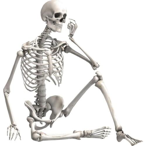 90cm Halloween Decoration Party Haunted House Props Halloween Decoration Skeleton Durable Simulated Human Skeleton Decoration