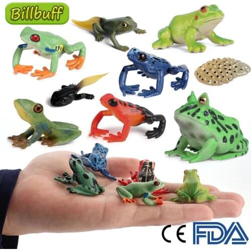 2021 Reptiles Static Model Frog Animals Wolf Howling Wolf PVC Action Figures Cute Model Educational Collection Toys for children