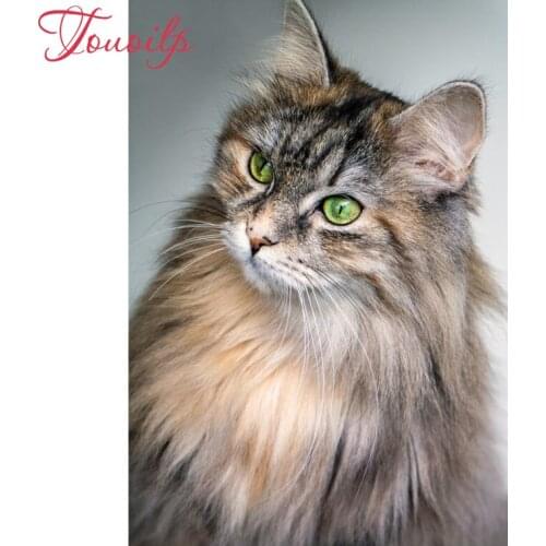 DIY diamond Embroidery animal cat 5D diamond painting of Cross stitch kit for living room Needlework set embroidery with diamond