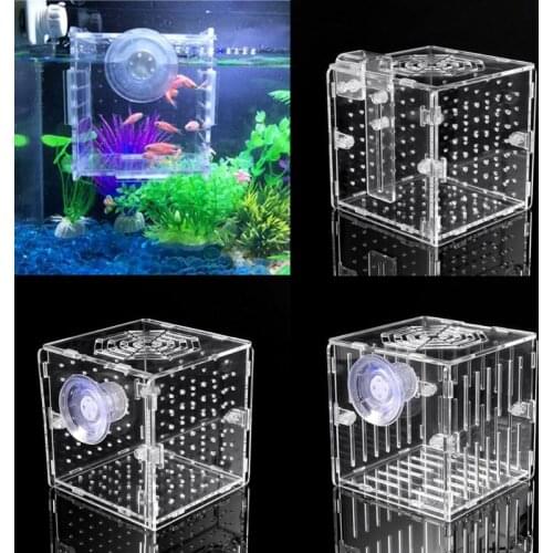 Acrylic Aquarium Fish Breeding Isolation Box With Sucker for Baby Fish Hatchery Incubator Cage