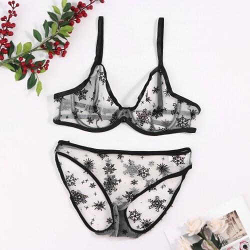 Snowflake Embroidery See Through Lingerie Set Sexy Lace Underwear Embroidery Bralette Panties Lingerie for Sex Play Sets