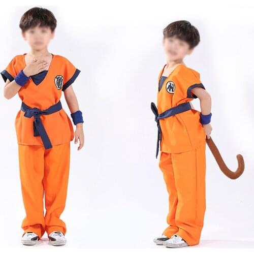 Dragon Clothes Suit Clothes Cosplay Costumes Top/Pant/Belt/Tail/wrister/Wig Christmas Gift