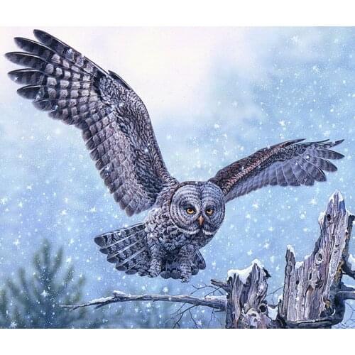 Animal Great Oorned Owl, Screech Owl Needlework,Cross stitch kits Stylish for Embroidery,Crafts Art 14CT DIY Handmade Decor