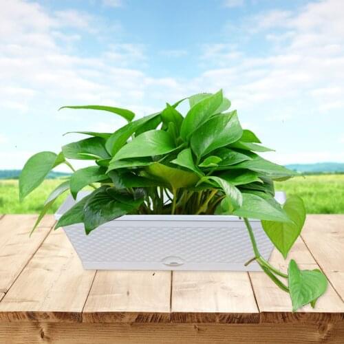 Decorative Pots For Plants Bottom Watering Succulents Or Flowers Set Of 2 Vintage Imitating Rattan