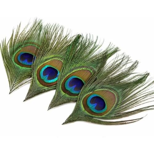 10PCS/Lot Real Peacock Feather Eyes2-6CM Costumes Trimmed Necklace Earring Accessories Sewing Hat Wedding Decorative Diy Jewelry
