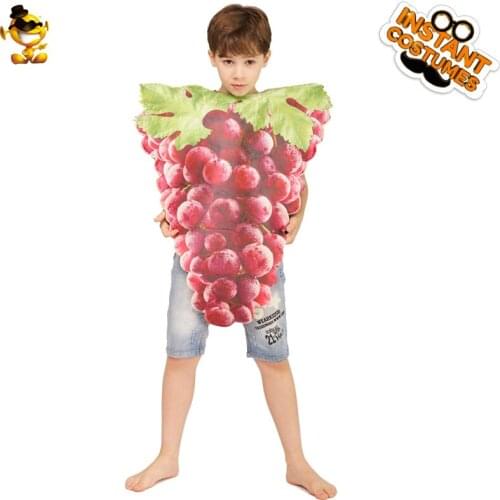DSPLAY Bunch of Grapes Jumpsuit New Style Kids Food Cosplay Bunch of Grapes Costumes for Carnival Halloween Party