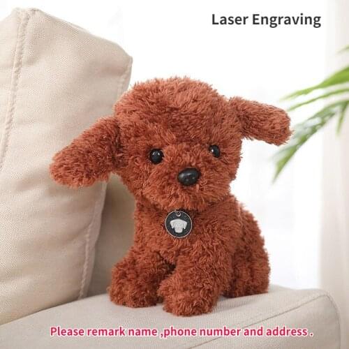 Первый питомец NQCT Funny Pet China At AliExpress