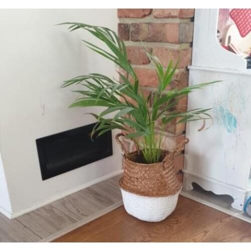 Flower Pot Baskets Storage Baskets Laundry Seagrass Baskets Wicker Hanging Storage Flower Panier Toy Storage