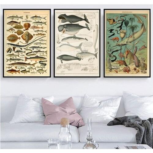 Ocean Sea Shell Fish Animal Vintage Chart Biology Vintage Decor Picture Canvas Painting Wall Paintings For Bedrooms Quadro