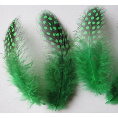 Wholesale 20pcs / lot beautiful green guinea fowl feathers 2-3 inches / 5-8 cm beautiful dot pattern pearl feather