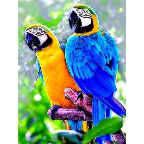 Bird Parrot Animal Pre-Printed 11CT Cross-Stitch Full Kit DIY Embroidery DMC Threads Handmade Handiwork Knitting Promotions