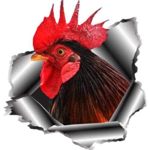 Personality Car Sticke Rooster Pet Vinyl Waterproof Car Window High Quality Accessories Cover Scratches PVC 13cm X 13cm