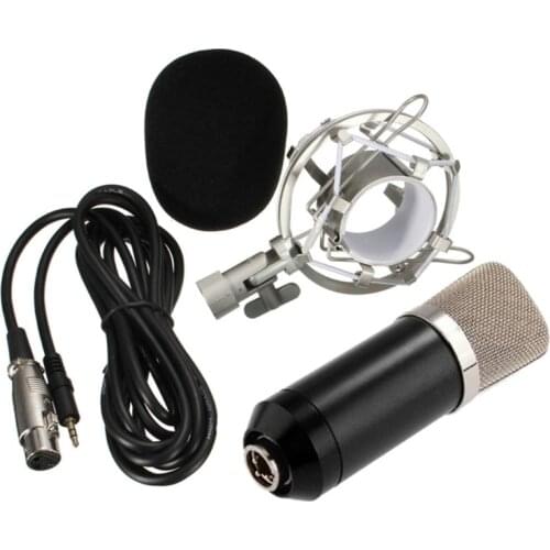 Wired Mic Heart Shaped-Directional Microphone Audio Pickup with Noise Cancelling Mic Equipped with Hifi Chip
