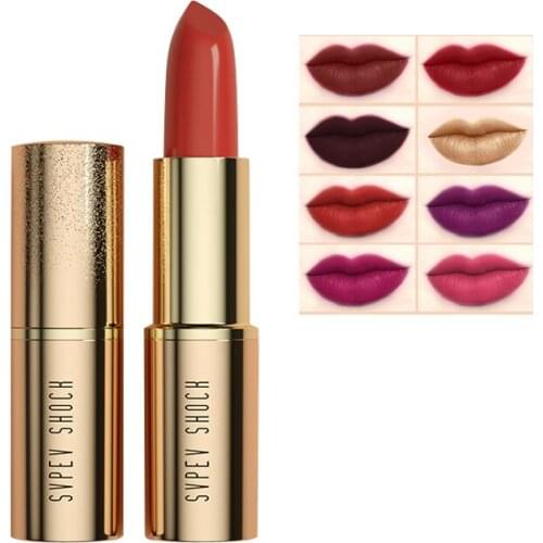 Lips Makeup Pearl Gold Lipstick Matte Purple Lipstick Profession Waterpoof Lipstick Lasting Lips
