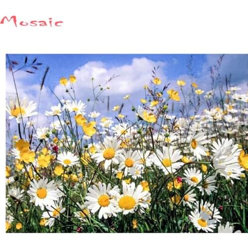 Diy 5d Diamond painting"daisy"Full Square rhinestone Diamond mosaic crafts Diamond embroidery sale Flowers picture home decor