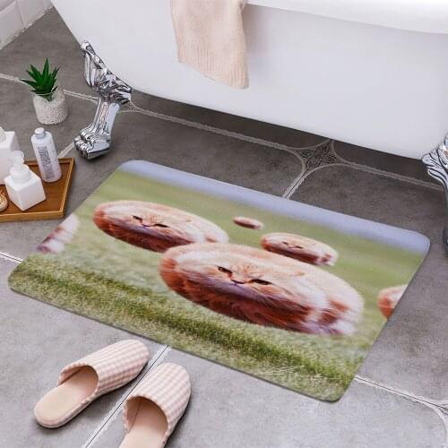 Funny Cat Hover Meme 3D Print Doormats Rectangle Non-Slip DoorMat Bedroom Kitchen Entrance Print Door rugs Dropshipping