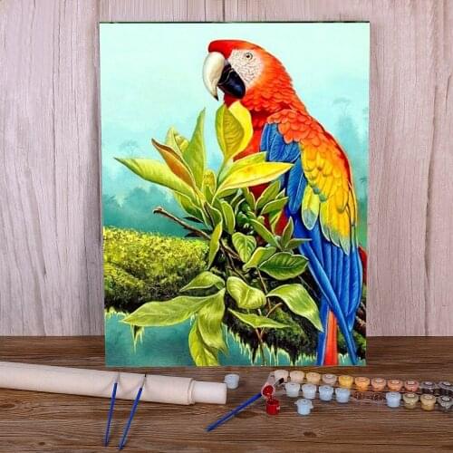 Animal Bird Parrot DIY Painting By Numbers Set Oil Paints 50*70 Paiting By Numbers Home Decoration For Handicraft
