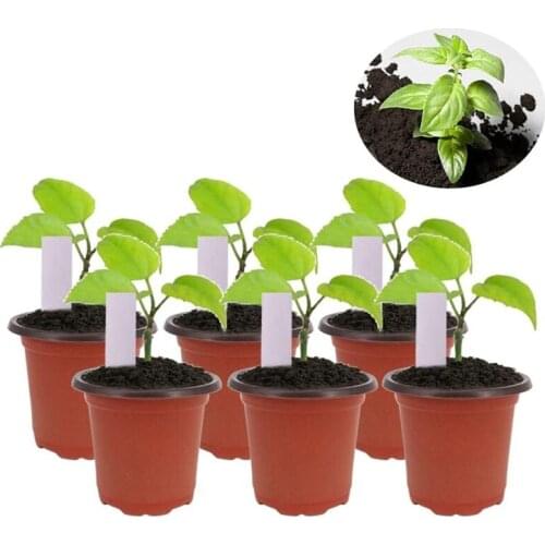 150Pcs Plastic Seed Planter Pot Flower Seedlings Nursery Supplies Containers Planting Pots 4.72 Inch