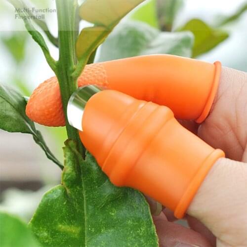 Farm Vegetable Fruit Picker Pickle Pepper Pickle Tip Picker Iron Nail Pick Grape Picker For Garden Orchard And Vegetable Patch
