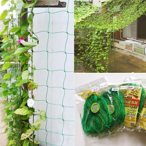 Plastic Nylon Garden Plant Pergola 1.8*3.6M Net 10CM Grid Millipore Ivy Climbing Vine Nets Home Gardening Vegetable Fruits Fence