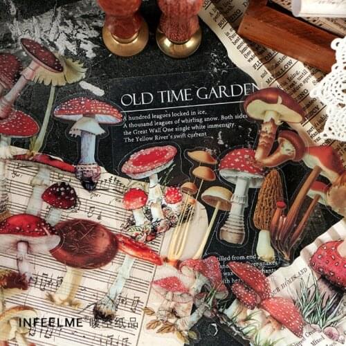 Товары для обучения Popu·pine China At AliExpress