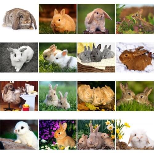 5D Diy Round Rhinestone Animal Landscape Diamond Painting Lovely Rabbits Mosaic Cross Stitch Mosaic Home Decoration Wall Paste