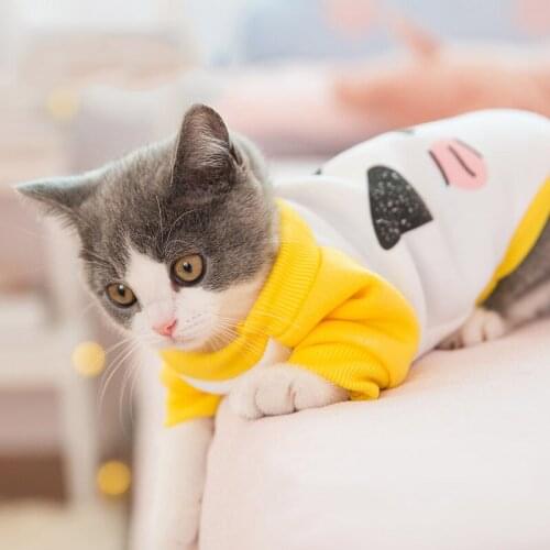 Fashion Clothing For Cats Sphinxes Pet Cat Coats Warm Pet Clothing Rabbit Animals Pet Casual Costume Dogs Suit For Cat Jacket